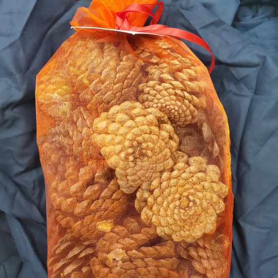 Noel scented pine cones in voile bag