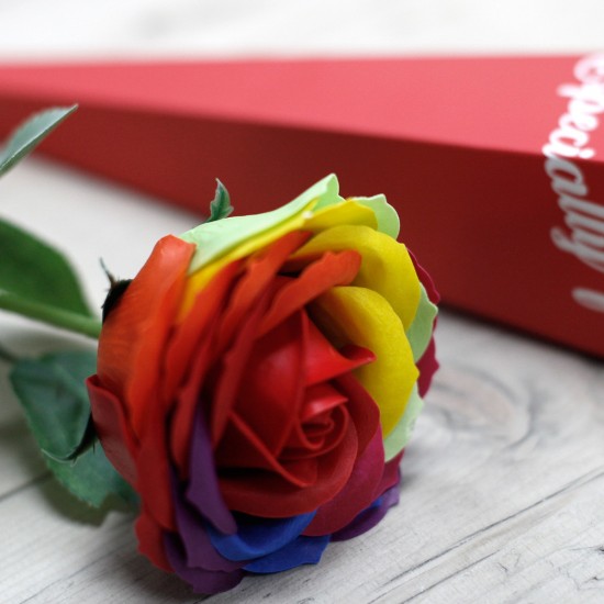 Single Rainbow soap flower Rose in gift box
