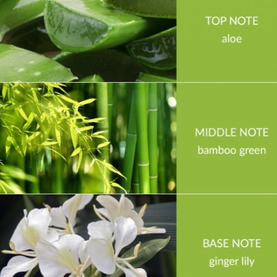 Bamboo & ginger Lily room spray 